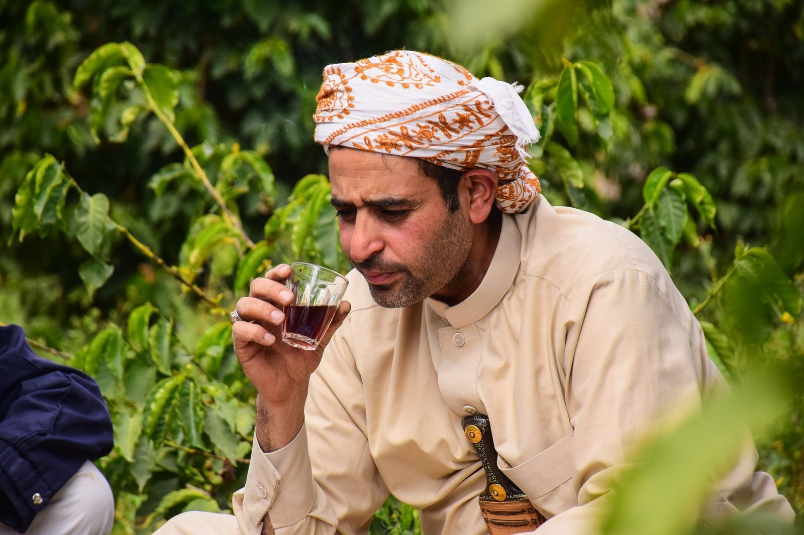 Tasting freshly brewed Yemeni coffee among the coffee trees